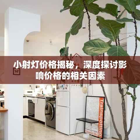 小射灯价格揭秘，深度探讨影响价格的相关因素