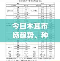 今日木耳市场趋势、种植信息及产业最新动态速递