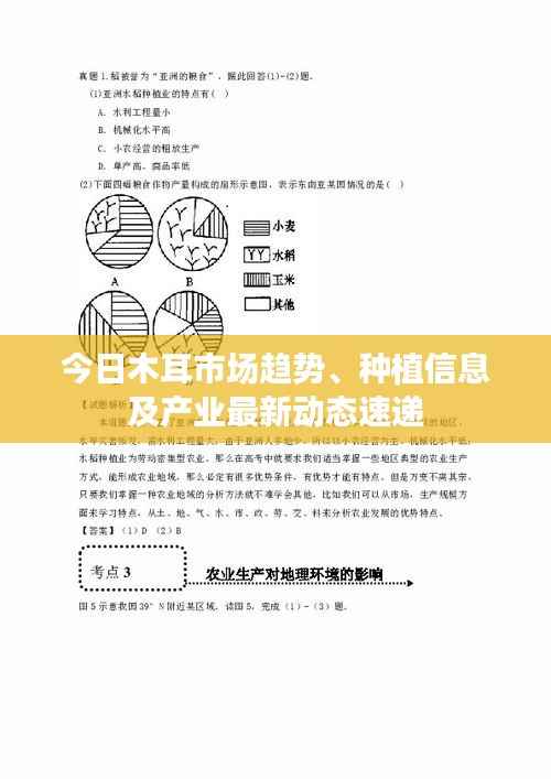 今日木耳市场趋势、种植信息及产业最新动态速递