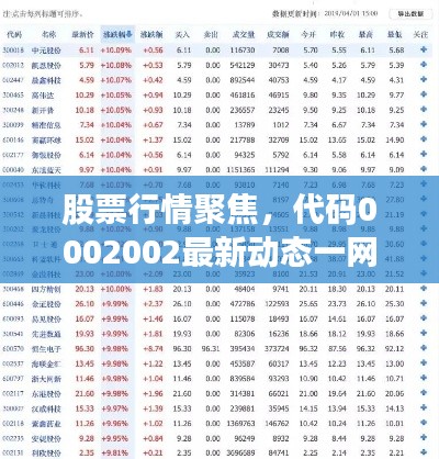股票行情聚焦,代码0002002最新动态一网打尽