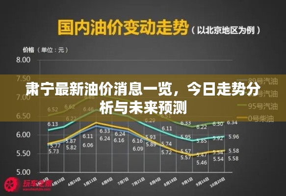 肃宁最新油价消息一览，今日走势分析与未来预测