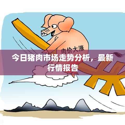 今日猪肉市场走势分析,最新行情报告