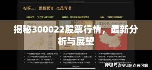 揭秘300022股票行情,最新分析与展望