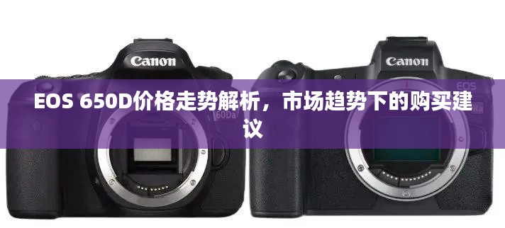 EOS 650D价格走势解析,市场趋势下的购买建议