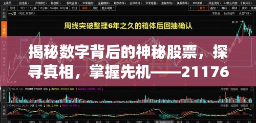 揭秘数字背后的神秘股票，探寻真相，掌握先机——211766股票真实身份大解密！