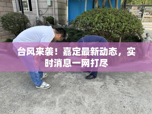 台风来袭!嘉定最新动态,实时消息一网打尽