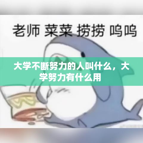 大学不断努力的人叫什么,大学努力有什么用