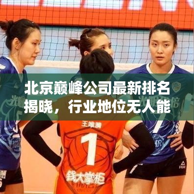 北京巅峰公司最新排名揭晓,行业地位无人能及!