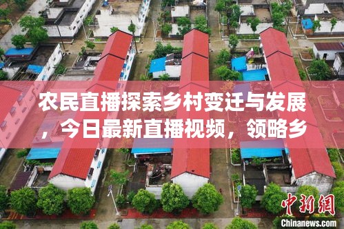 农民直播探索乡村变迁与发展，今日最新直播视频，领略乡村生活新风貌