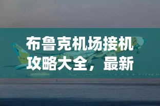 布鲁克机场接机攻略大全,最新指南助你轻松接机!