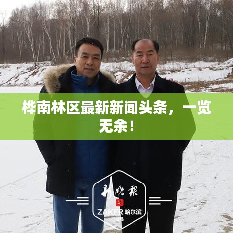 桦南林区最新新闻头条,一览无余!