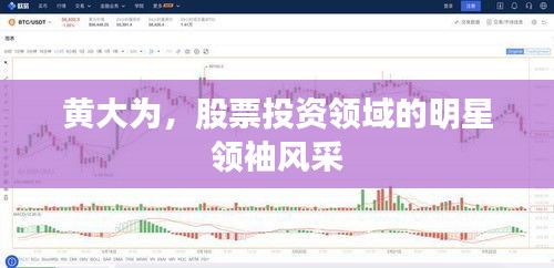 黄大为，股票投资领域的明星领袖风采