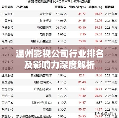 温州影视公司行业排名及影响力深度解析