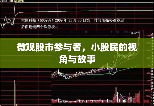微观股市参与者,小股民的视角与故事