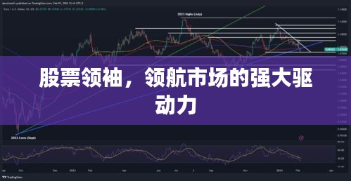股票领袖,领航市场的强大驱动力
