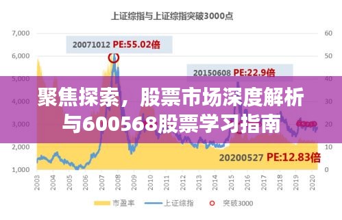 聚焦探索,股票市场深度解析与600568股票学习指南