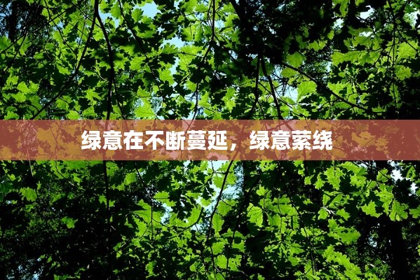 绿意在不断蔓延,绿意萦绕