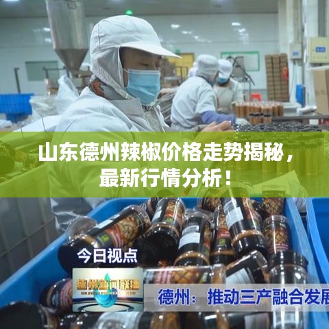 山东德州辣椒价格走势揭秘,最新行情分析!