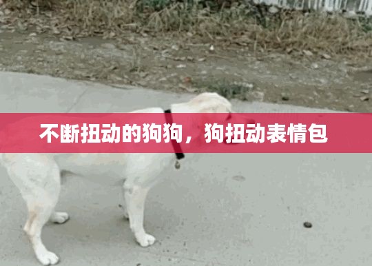 专心致志 第2页