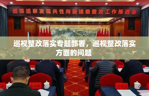 巡视整改落实专题部署，巡视整改落实方面的问题 