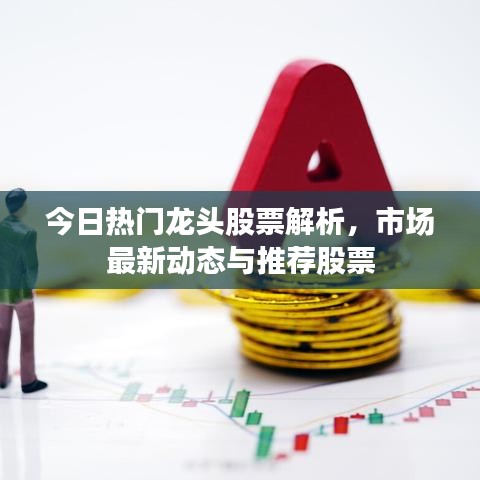 今日热门龙头股票解析，市场最新动态与推荐股票