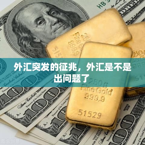 外汇突发的征兆,外汇是不是出问题了