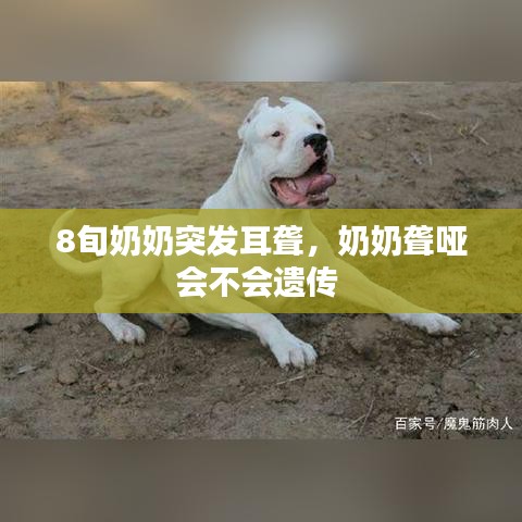 8旬奶奶突发耳聋,奶奶聋哑会不会遗传