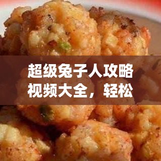 超级兔子人攻略视频大全,轻松成为游戏高手秘籍揭秘!